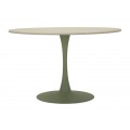 Designový jedálenský stôl Mirah s vrchnou béžovou deskou s mramorovým vzhľadom s nohou v okrouhlom tvare s tenkou tyčou v zelenej farbe z kovu