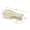Designov&yacute; glamour př&iacute;ručn&iacute; stolek Crocodile se zlatou krokod&yacute;l&iacute; hlavou a kulatou skleněnou deskou 75 cm