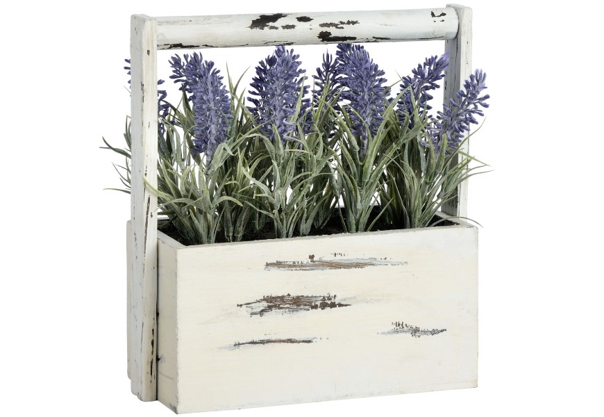 Lavendar in Wooden Planter