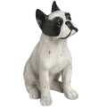 French Bull Dog Sitting Statue