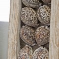 Luxusní nástěnné závěsné etno obdélníkové hnědé zrcadlo Caracola s rámem z mušlí a teakového dřeva 120 cm