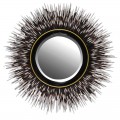 Exkluzivní nástěnné zrcadlo Porcupine