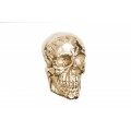 Designová extravagantní nástěnná lebka 40cm zlatá