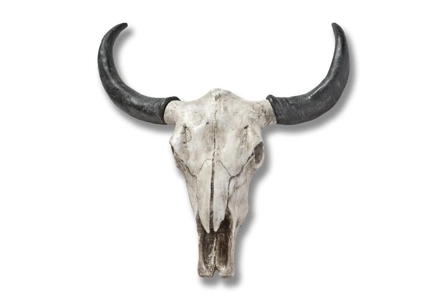 Large Ox Skull Wall Art