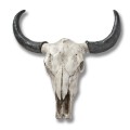 Large Ox Skull Wall Art
