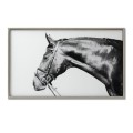 Thoroughbred Glass Image With Silver Frame