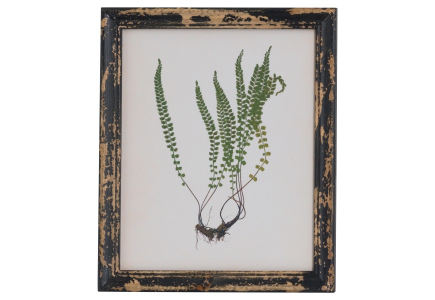 Vkusn&yacute; zar&aacute;movan&yacute; obraz Aspidio IV