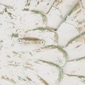 Antique White Large Angel Wings