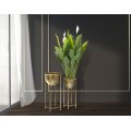 Glamour sada kulatých květináčů Lunara se zlatým kovovým držákem s patinou a elegantním vysokým rámem 62 cm