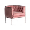 Luxusní chesterfield shabby chic křeslo Kazer se sametovým potahem v růžové barvě z bavlny a konstrukcí z kovu ve zlaté barvě