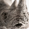 Designová etno závěsná nástěnná socha Rino v podobě hlavy nosorožce v šedé barvě 66 cm