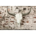 Venkovská nástěnná bílá kovová dekorace Bullhead v podobě býčí lebky s černými rohy 70 cm