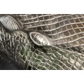 Glamour kulatý příruční stolek Crocodile se stříbrným kovovým držákem ve tvaru krokodýla a skleněnou deskou 61 cm