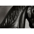 Extravagantní stylová stojací lampa Black Beauty černá 130cm